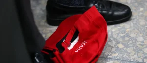 ‘The Mouse That Roared’: The MAHA Movement Could Simply Be a Small Factor in the Upcoming Midterms, Analysts Suggest