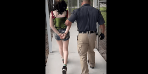 12-year-old Florida girl accused of threatening to shoot elementary school and a teacher
