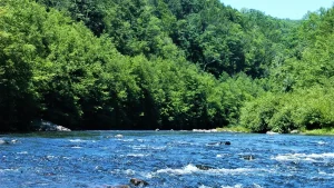 12-year-old boy loses life while rafting with school in Pocono Mountains