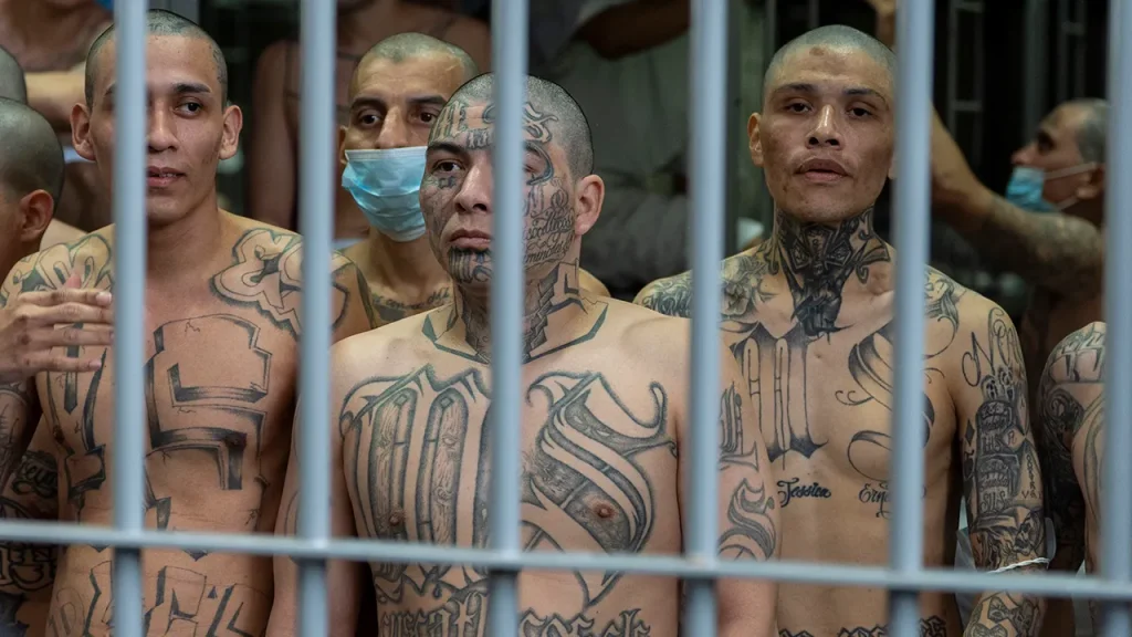 25 suspected members of Tren de Aragua taken into custody during federal operation