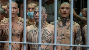 25 suspected members of Tren de Aragua taken into custody during federal operation