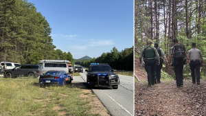 25 undocumented immigrants, including criminals, apprehended in Georgia forest operation: police