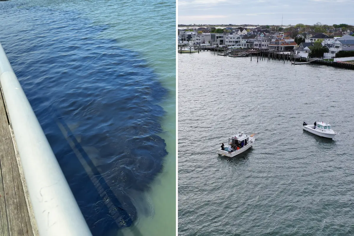 30,000 gallons of sewage waste mistakenly released into Long Island waterway