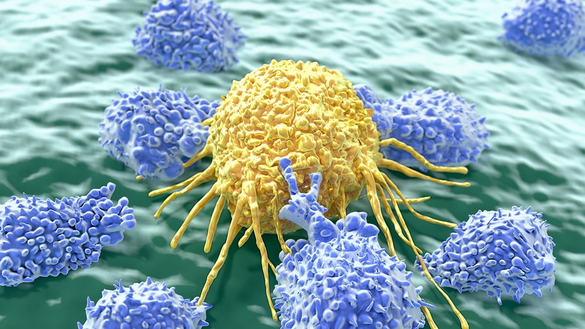 A Common Vitamin Supports Cancer's Defense but Might Also Help Us Combat It