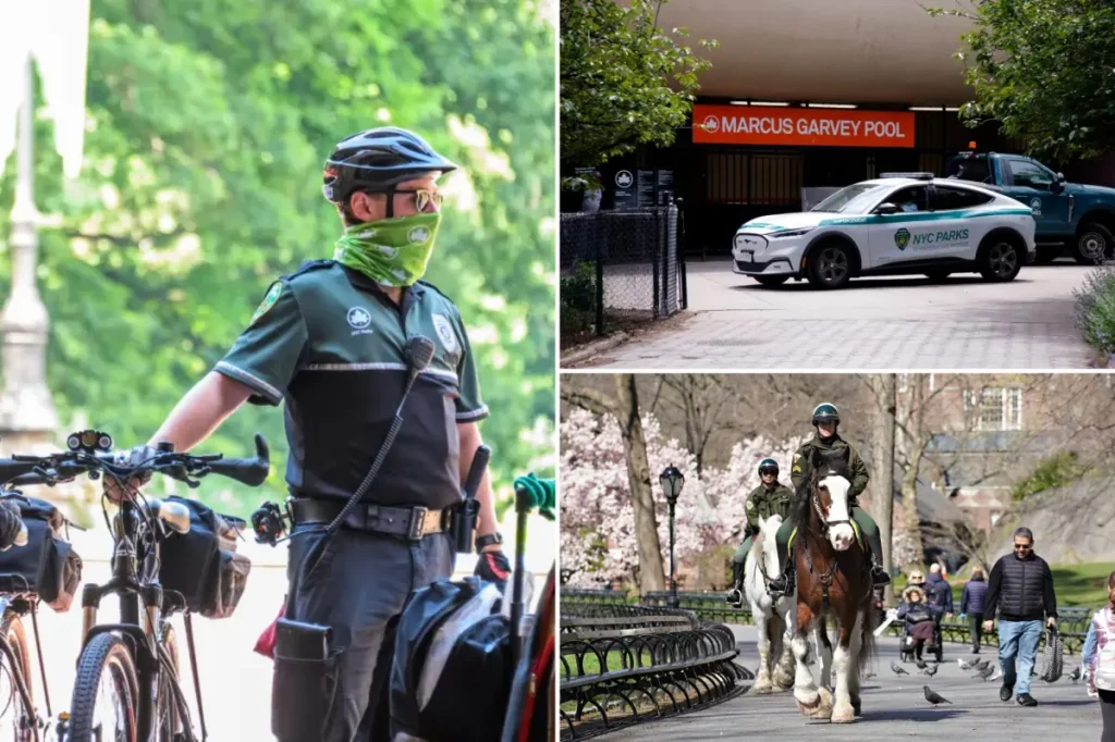 A third of NYC Parks patrols will be cut under Mamdani's budget plan: ‘Every neighborhood park will feel the impact’