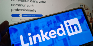 Address me as lord, treat me to flan: AI-driven pranksters reveal LinkedIn spammers