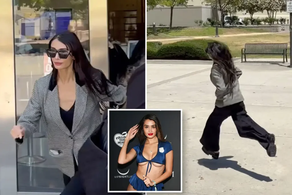 Adva Lavie, the pet of Stephen Cloobeck, escapes from the courthouse after her passport is taken.
