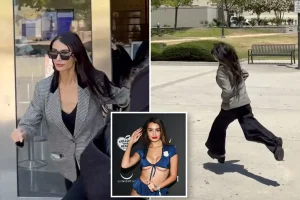 Adva Lavie, the pet of Stephen Cloobeck, escapes from the courthouse after her passport is taken.