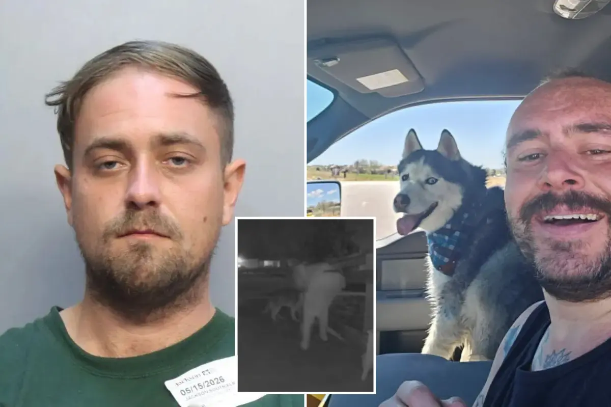 Airman Andrew Beckham's dog Maverick discovered deceased in car; dogsitter Andrew Jansen taken into custody in Florida