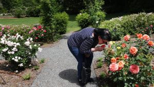 Allergy seasons overlap on Long Island leading to a significant impact.
