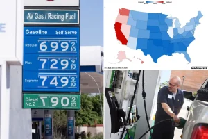 Americans searching for lower gas prices and ready to travel to other states