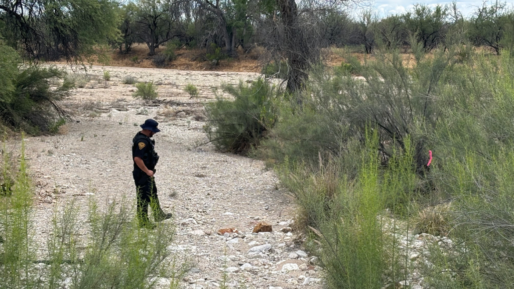 Ancient remains discovered near Nancy Guthrie’s residence not connected to her case