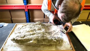 Archaeologists discover ancient purple dye in Roman infant graves in York