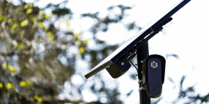 Are license plate readers a form of surveillance? The amount of AI cameras in the US is surprising
