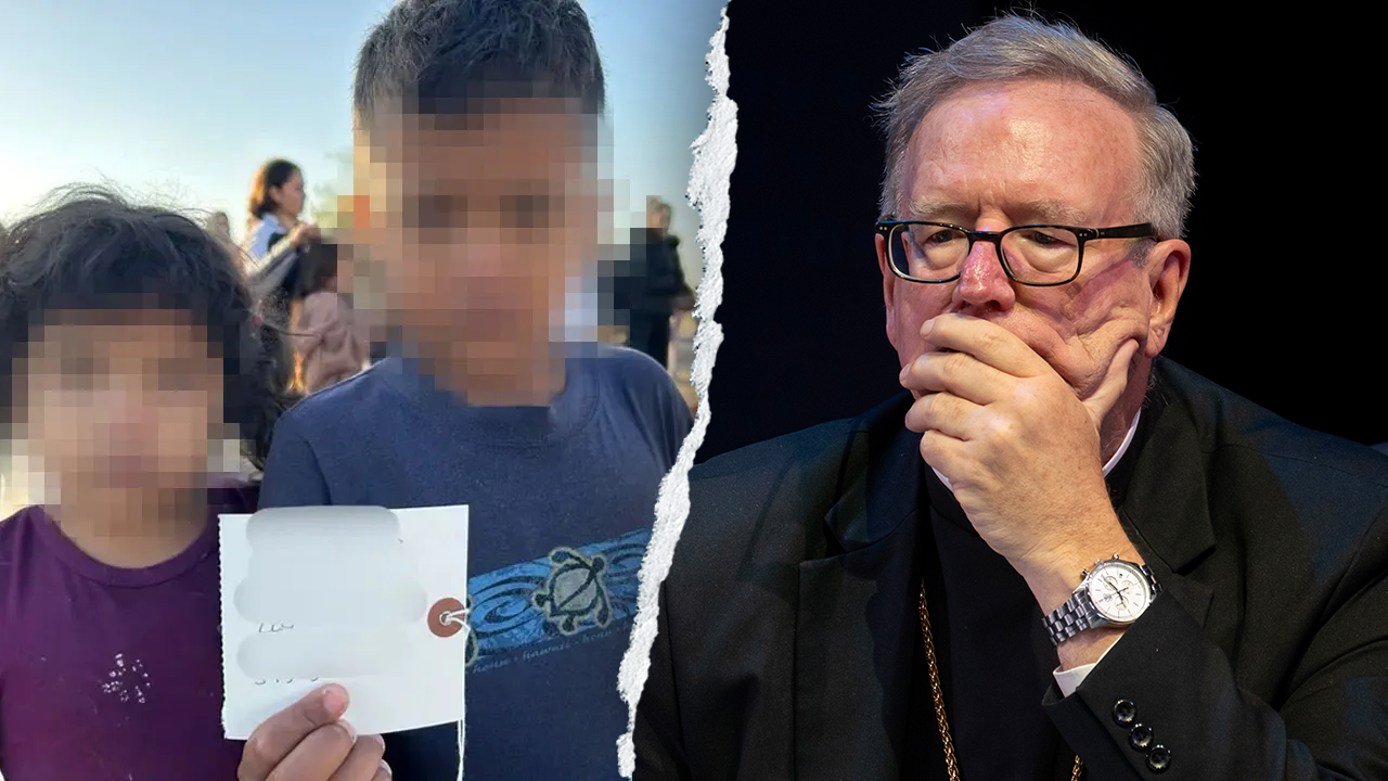 Bishop Barron urges left-leaning Catholics to stop vilifying Trump