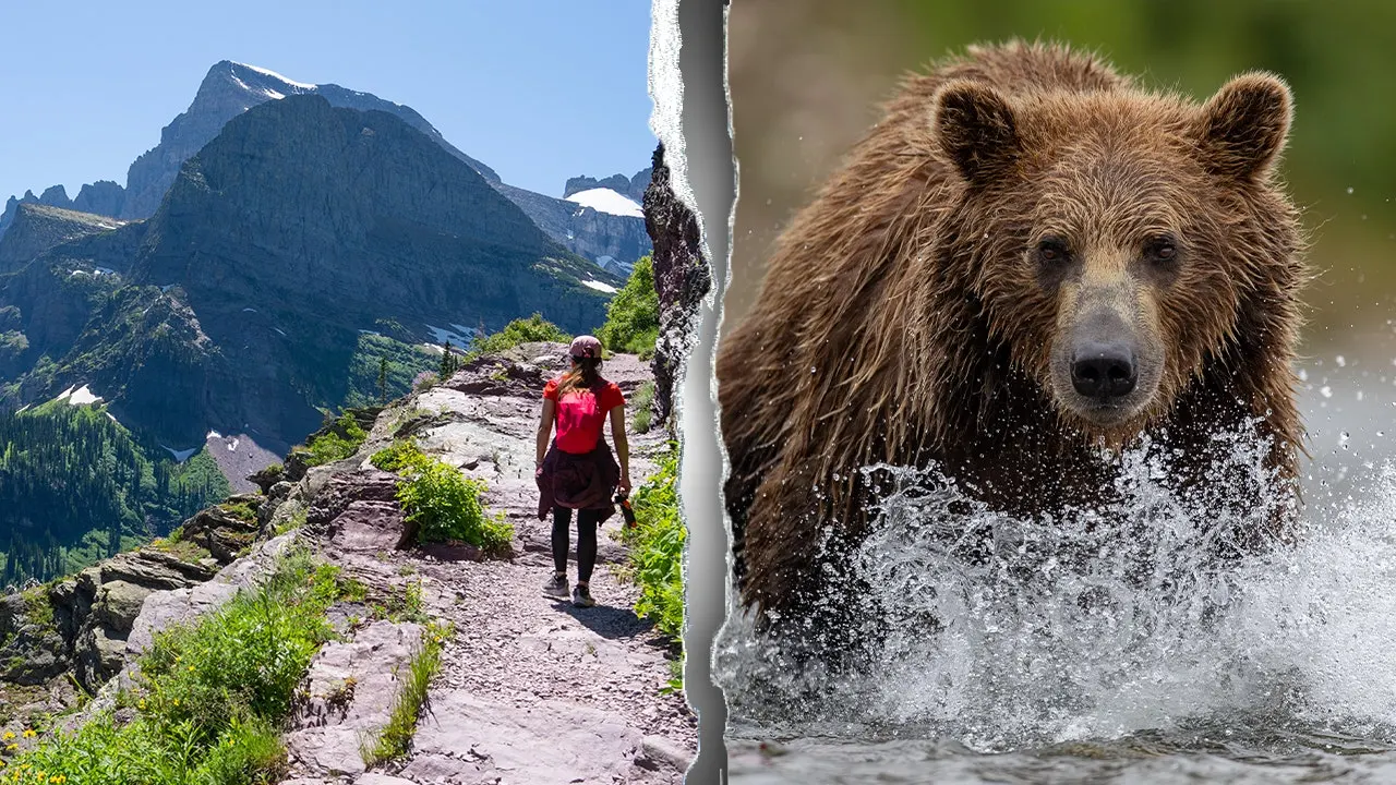 Body of hiker discovered in Glacier National Park after suspected bear attack