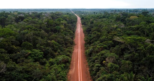 Brazil: Socialists Update Road Through Amazon Rainforest