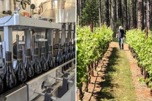 Bremer Family Winery in Napa Valley aims to attract more visitors