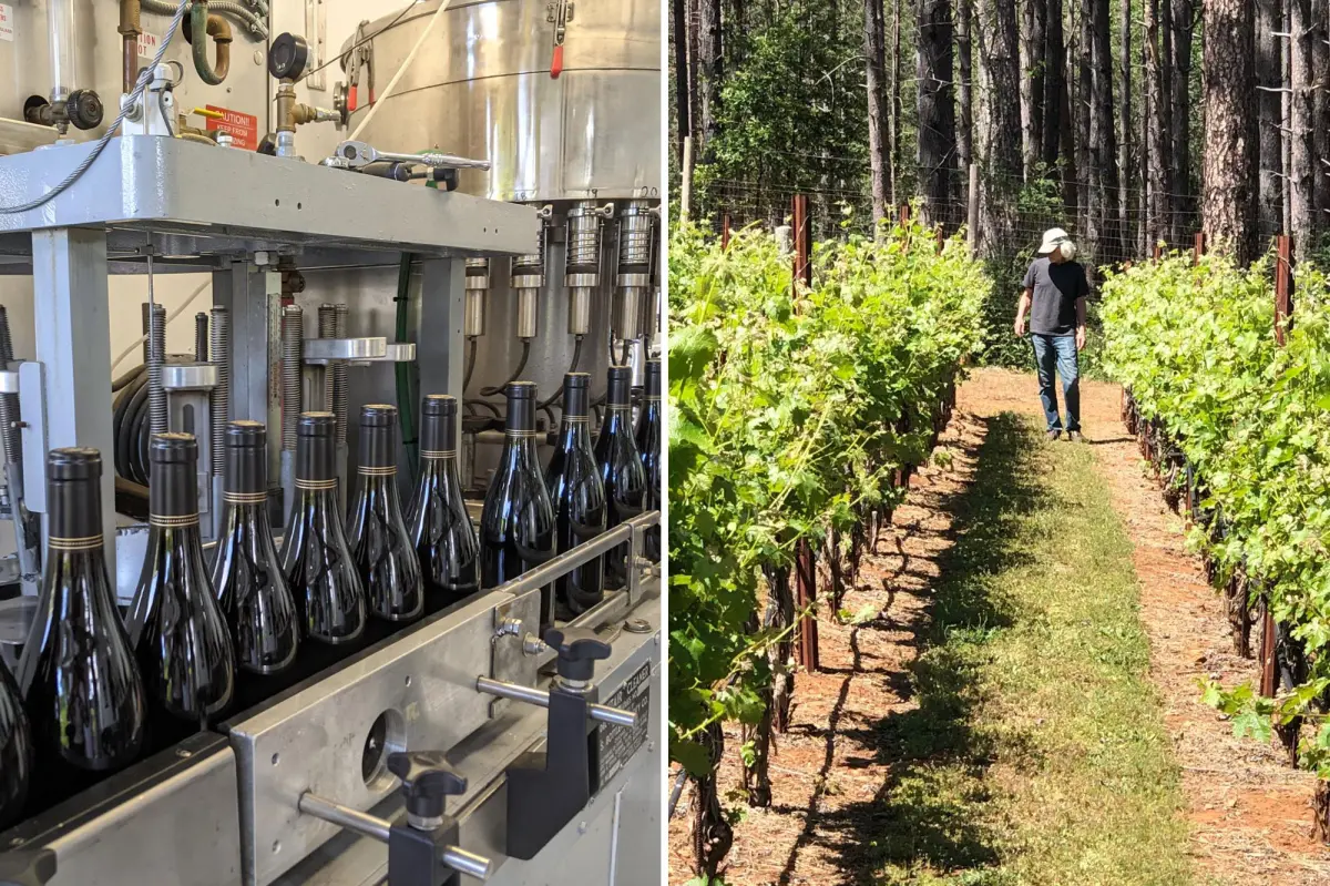 Bremer Family Winery in Napa Valley aims to attract more visitors