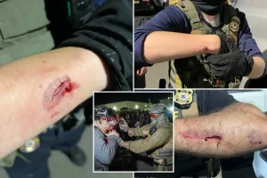 Brendan Geier, an activist against ICE, accused of biting officers during a protest at NJ Delaney Hall