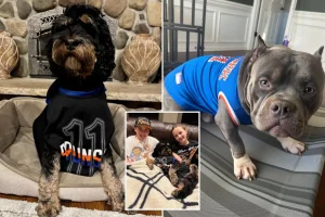 Brunson dogs are set to enjoy the Eastern Conference finals.