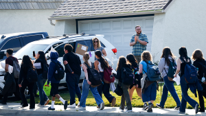 California legislation would allow deported professors to teach online.