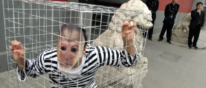 Chimps Enhanced for Combat and a Missing American Scientist Cause Worry at the Pentagon