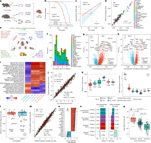 Common transcriptomic signs of aging and death in mammals