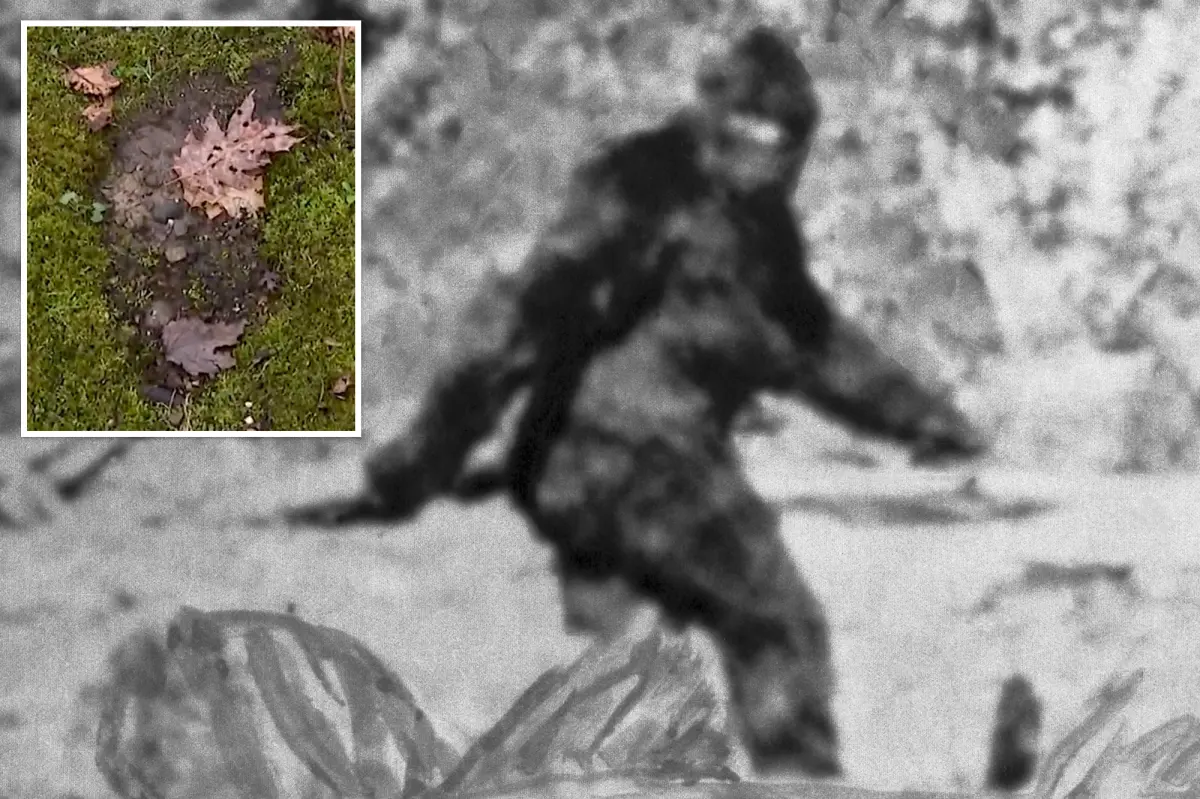 Concerns grow in Ohio after residents capture strange howls and large footprints of an unknown creature