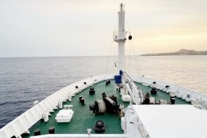 Cruise industry anticipates no effect from hantavirus outbreak on vessels