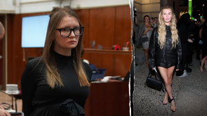 DHS claims Anna Delvey has mocked the US immigration system
