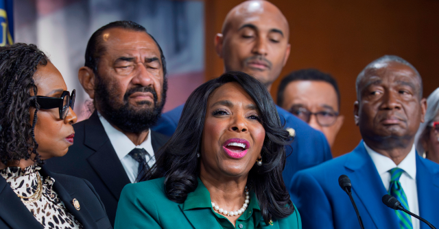 Democrat Lawmakers Say 'Black Political Representation in America Is Being Threatened' by Redistricting