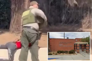 Deputy at Riverside school removed from high school after applying physical force on student