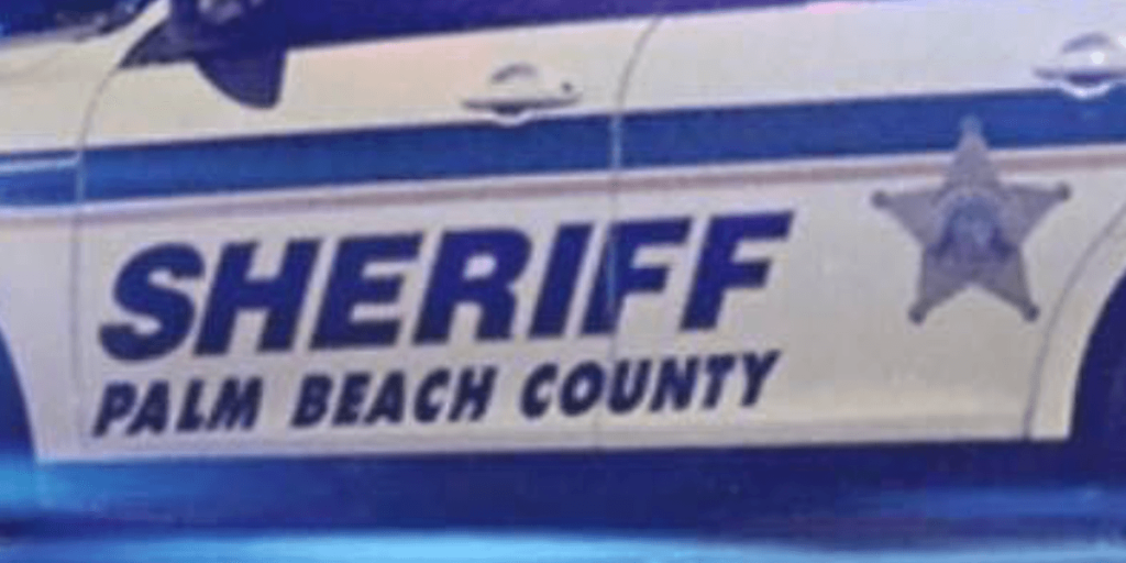 Deputy claims driver was 'holding a phone' in her 'right hand,' but there's a major issue.