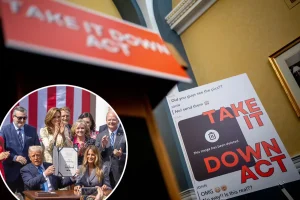 Digital platforms must delete deepfake and revenge porn within 48 hours.