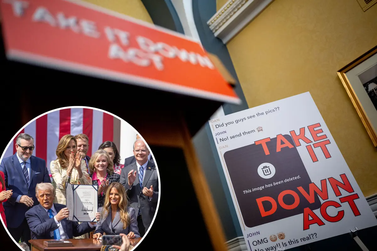 Digital platforms must delete deepfake and revenge porn within 48 hours.