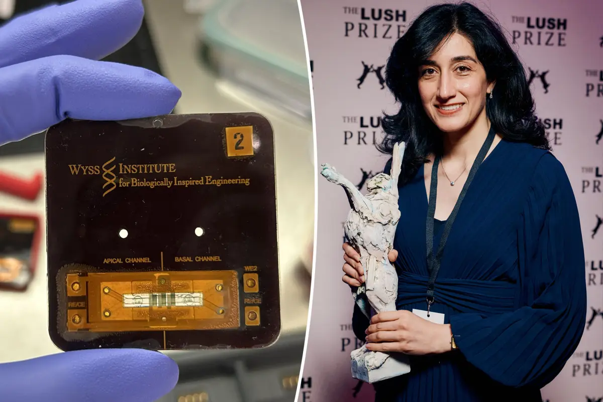 Doctor at Harvard creates 'vagina on a chip' to address women's health concerns