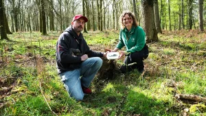 Dog walker discovers 3,000-year-old Bronze Age axe head in a forest