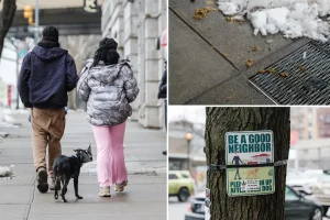 Dog waste becomes a problem in Manhattan, reaching an alarming high over the winter.