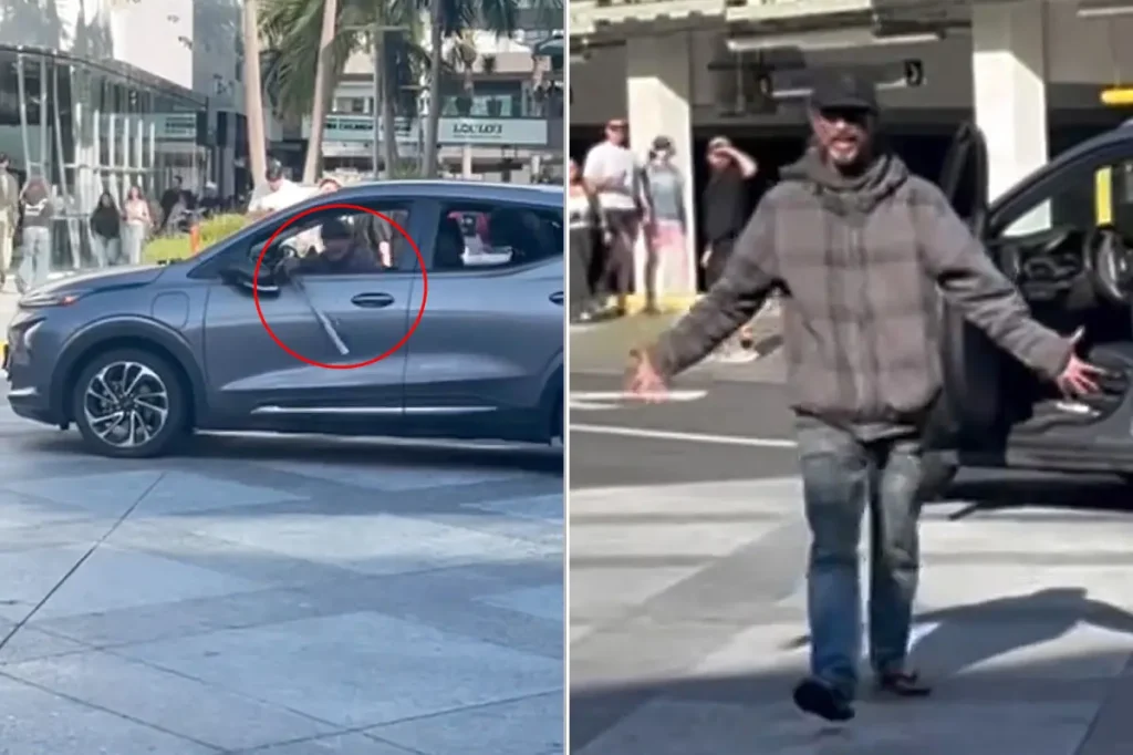 Driver with a bat and dog frightens shoppers in Santa Monica as the city tries to address rising crime.
