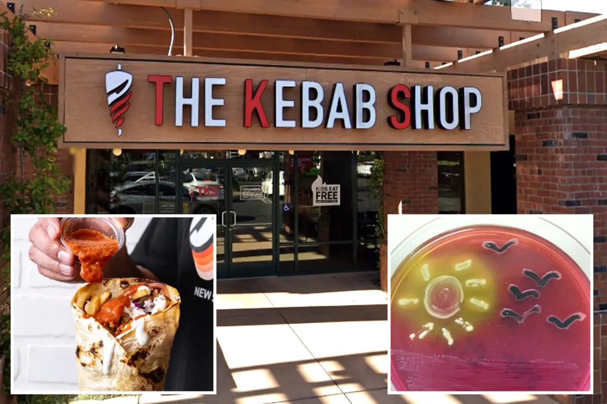 E. coli outbreak linked to investigation of The Kebab Shop in California