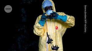 Ebola outbreak becomes unmanageable: what could be the cause?