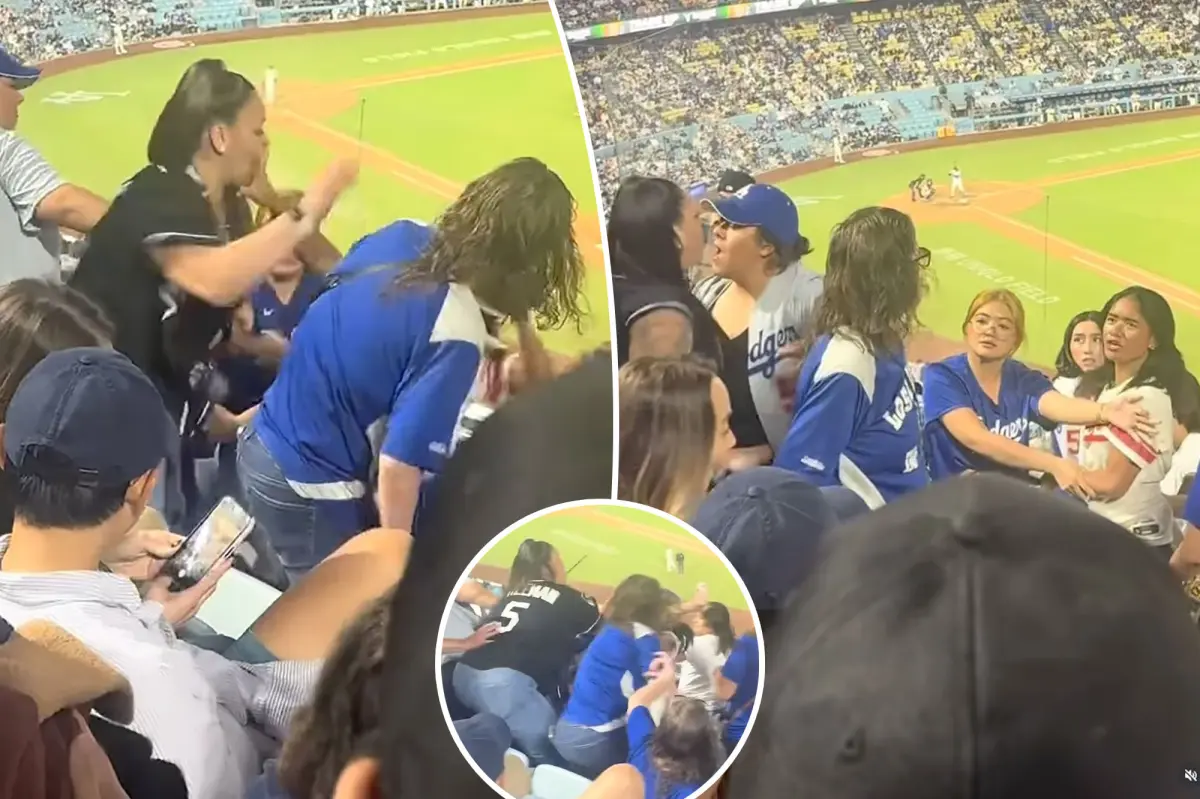 Fight among Los Angeles Dodgers fans caught on camera as they throw punches.
