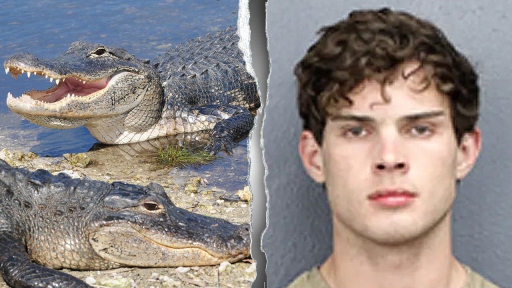 Florida accuses influencer Clavicular of shooting an alligator in the Everglades.