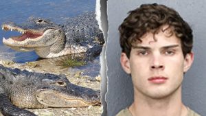 Florida accuses influencer Clavicular of shooting an alligator in the Everglades.