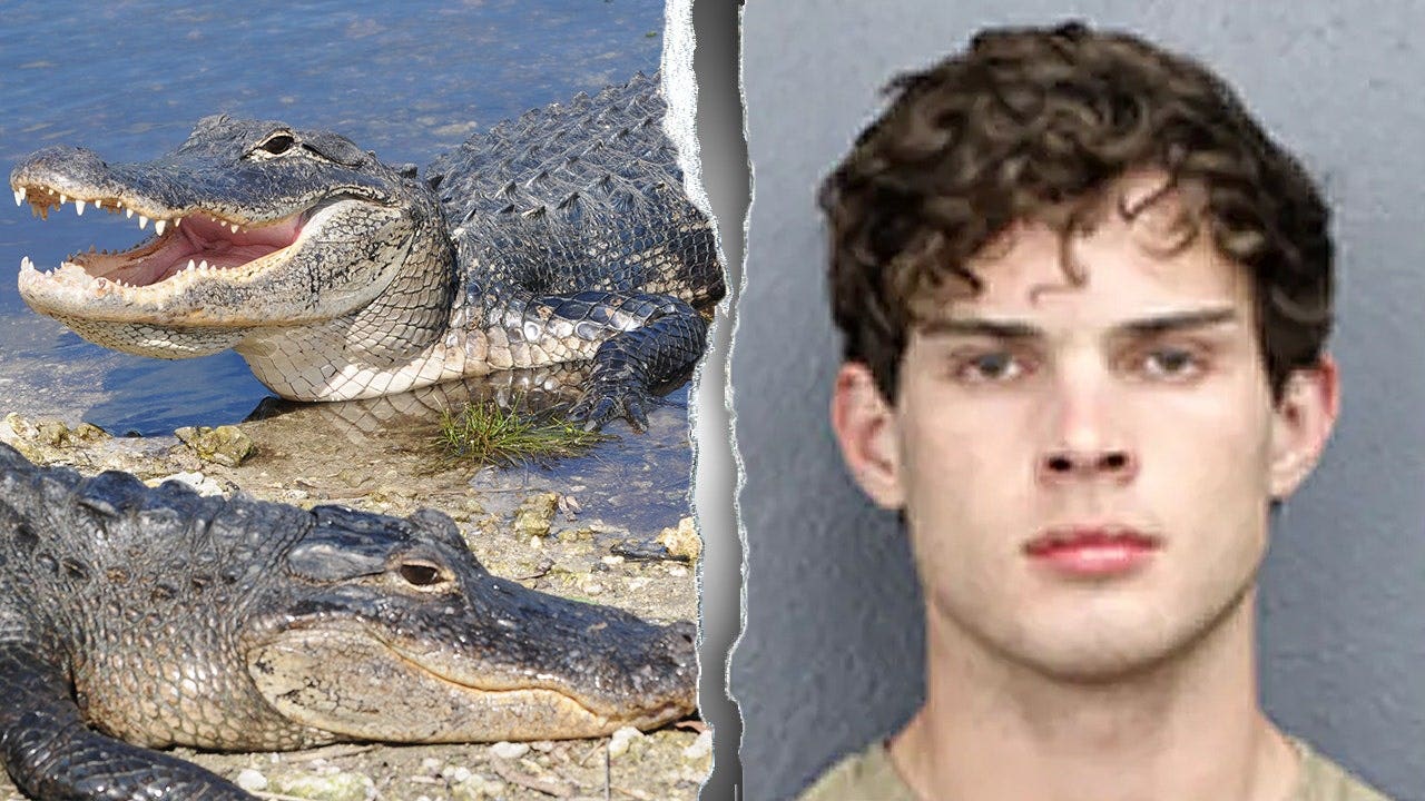 Florida accuses influencer Clavicular of shooting an alligator in the Everglades.