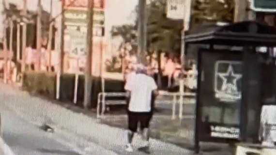 Florida man wearing 'No Christ No Life' T-shirt taken into custody for robbery at Tampa bus stop