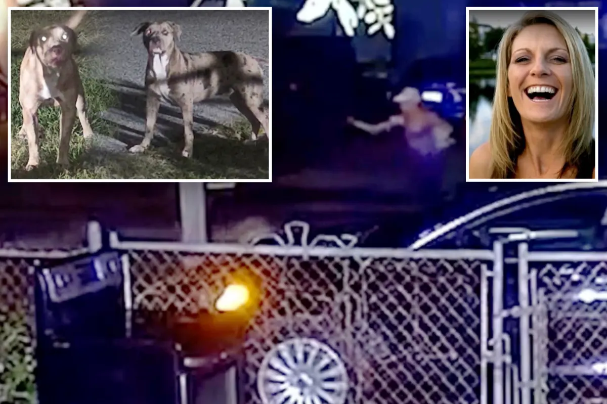 Florida woman, 50, attacked by neighbors' pit bulls that were known to frighten the community