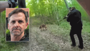 Footage captures bloodhound following Special Forces shooting suspect Craig Berry