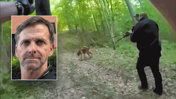 Footage captures bloodhound following Special Forces shooting suspect Craig Berry